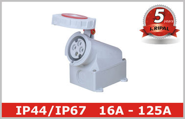 Blanc adaptateur électrique industriel 380V - 4150V de 3 débouchés de phase