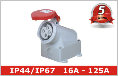 Blanc adaptateur électrique industriel 380V - 4150V de 3 débouchés de phase